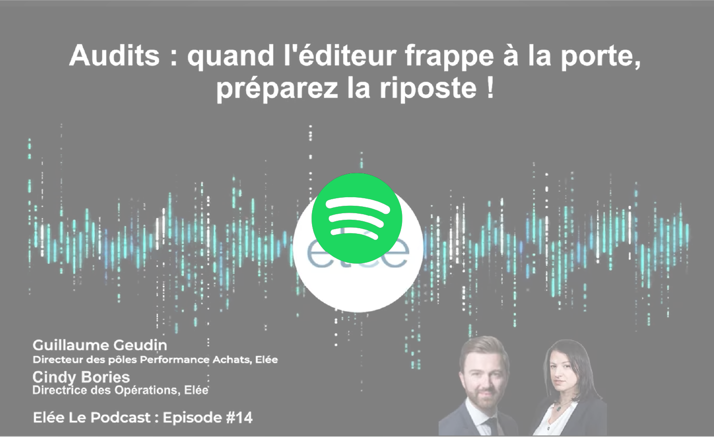 Spotify podcast 14