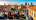 Afterwork Software Asset Management et Achats Software Elée